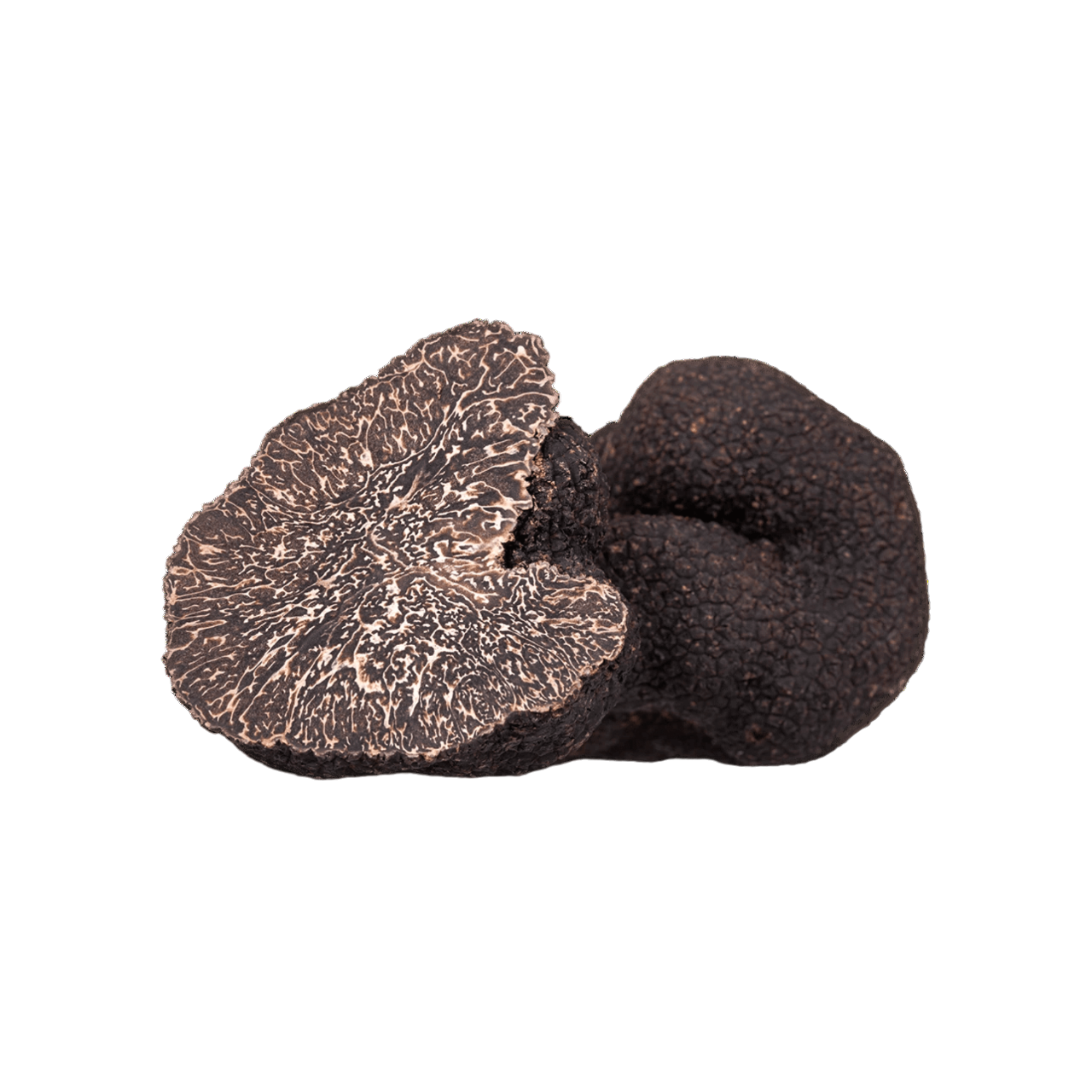 FRISCHE SCHWARZE TRÜFFEL (PERIGORD SCHWARZE TRÜFFEL - TUBER MELANOSPORUM VITT.)
