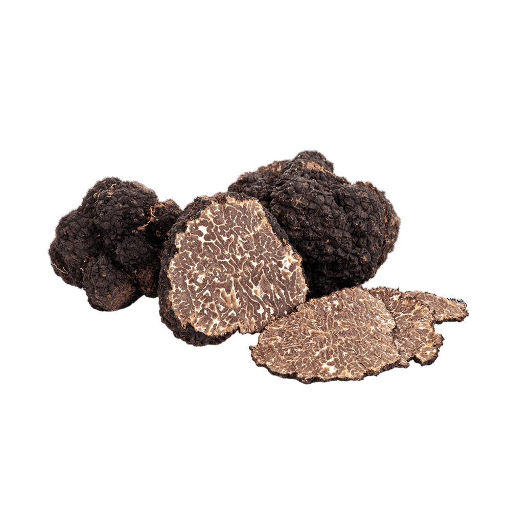 SCHWARZE HERBST-TRÜFFEL (TUBER UNCINATUM)