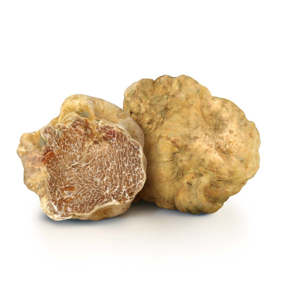 FRISCHE WEISSE ALBA-TRÜFFEL (TUBER MAGNATUM PICO)